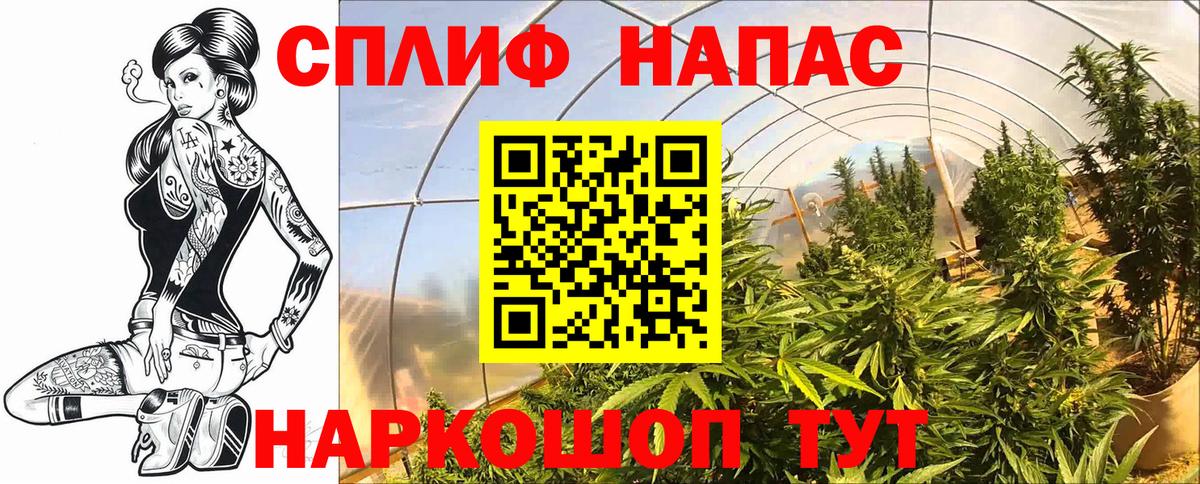 Канабис марихуана Сорочинск